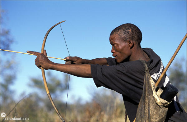 Bushman hunter taking aim with his bow, Namibia