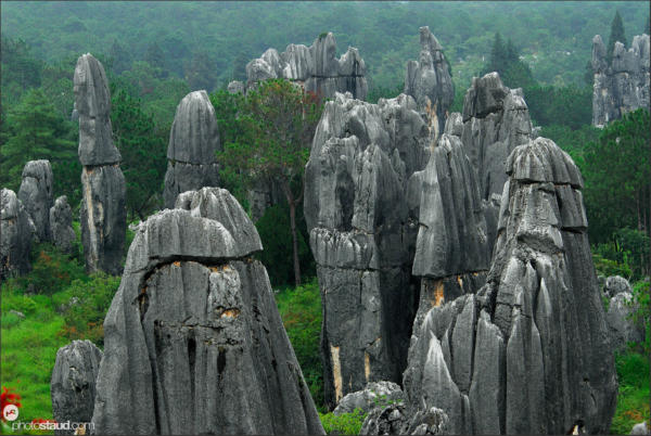 Shilin – stone forest near Kunming, Yunnan, China